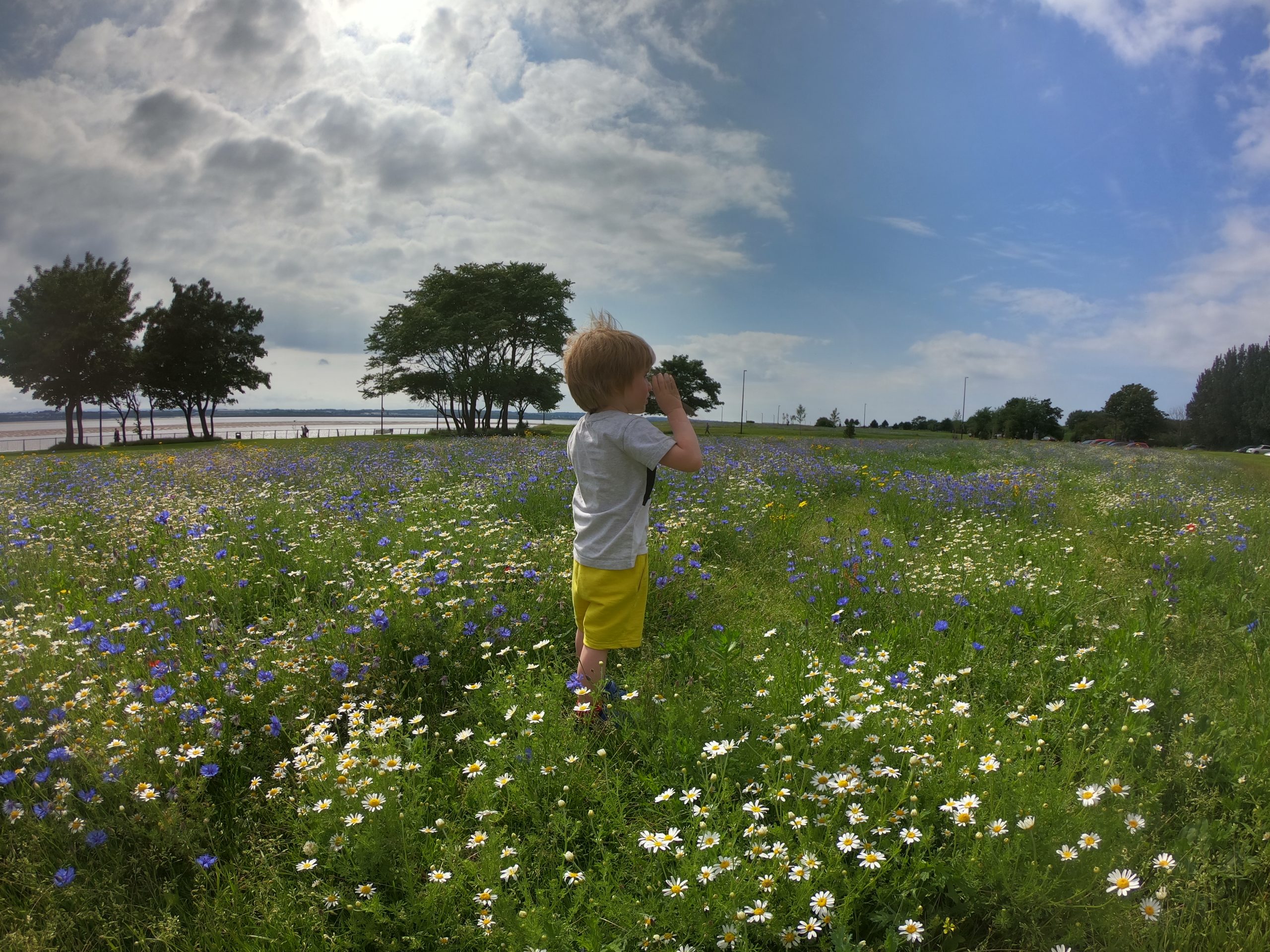 Otterspool Promamade