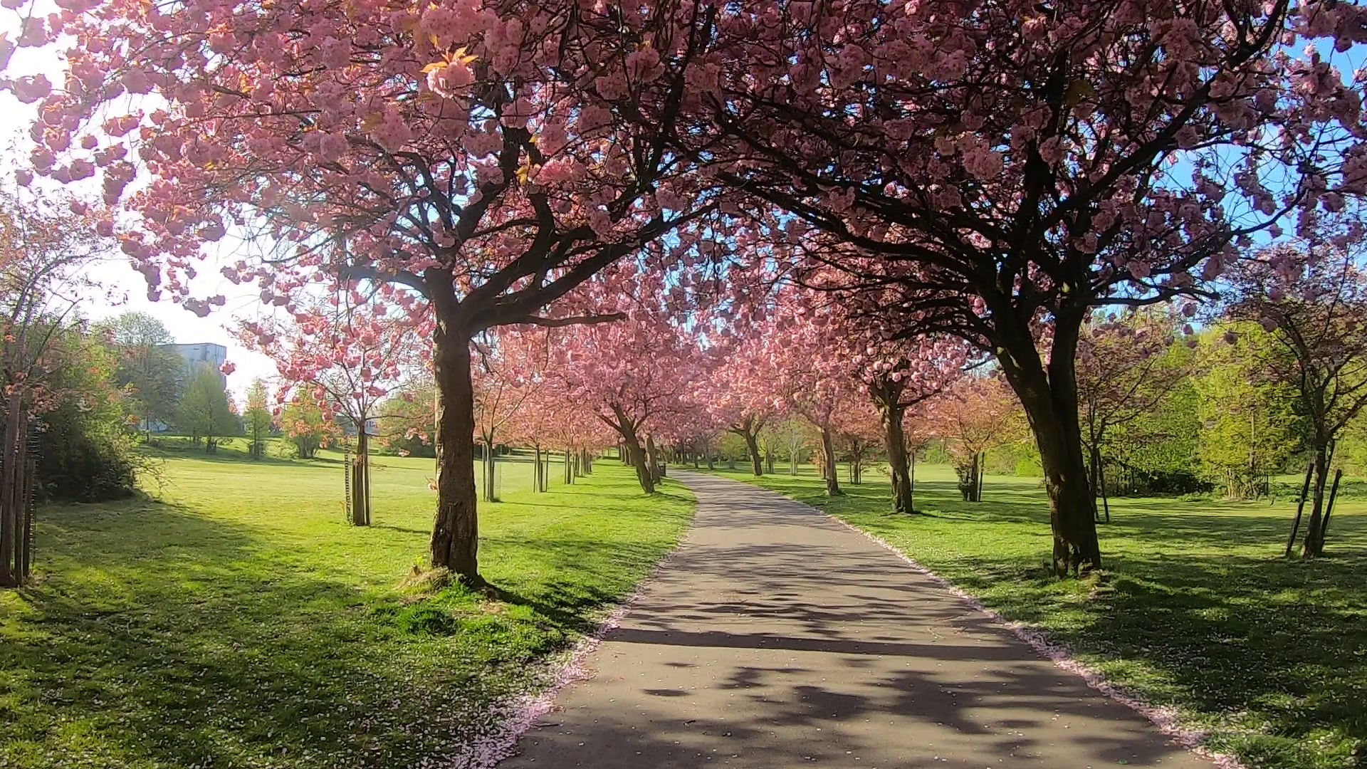 Wavertree Botanic Gardens