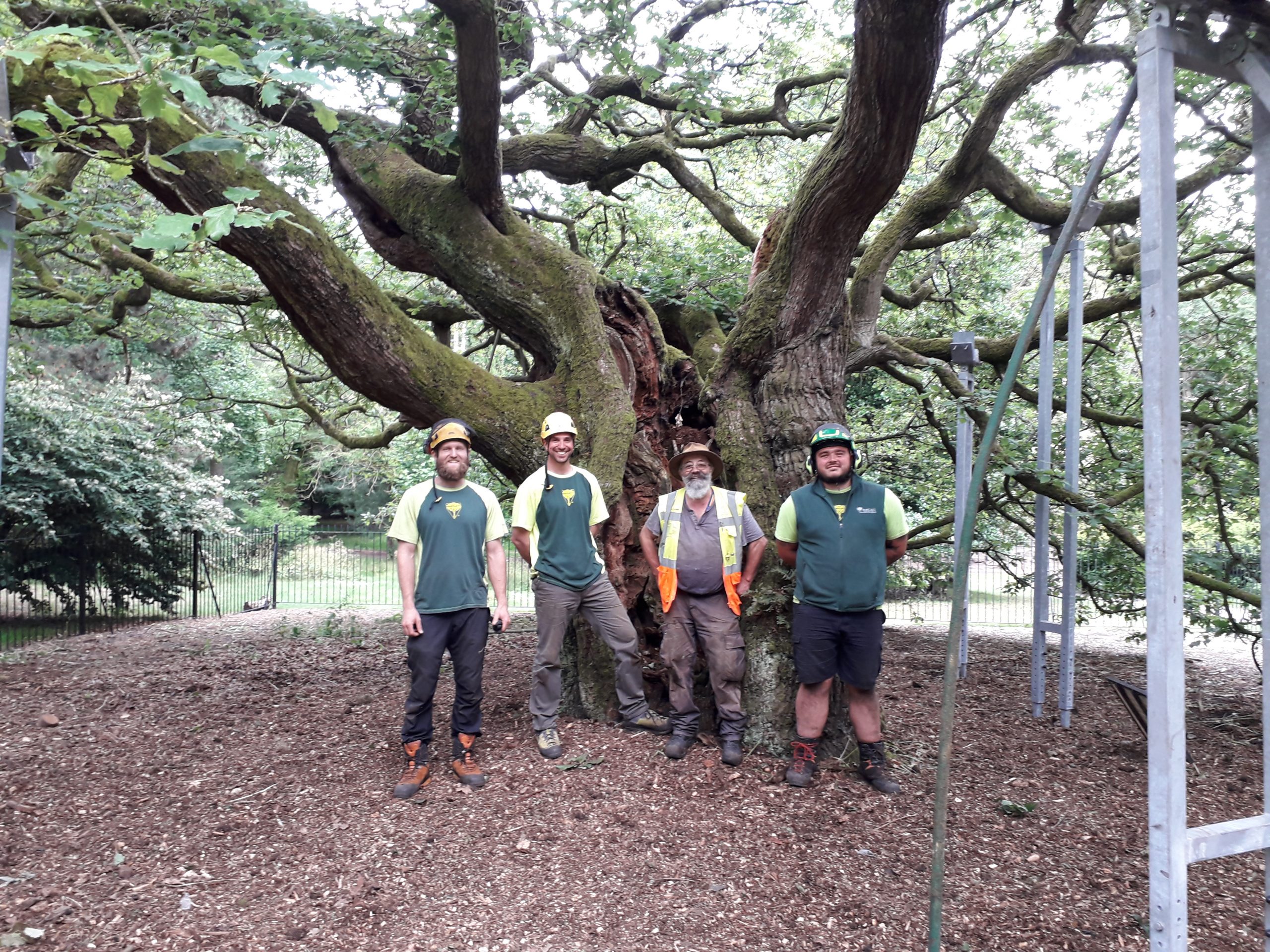Support team for Allerton Oak project