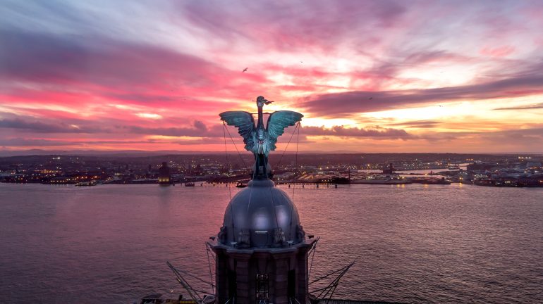 Liver bird