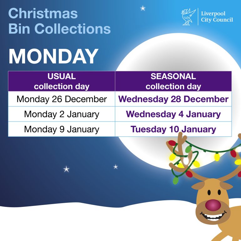 Christmas bin service