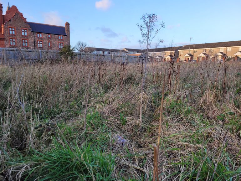 Vacant land in Liverpool