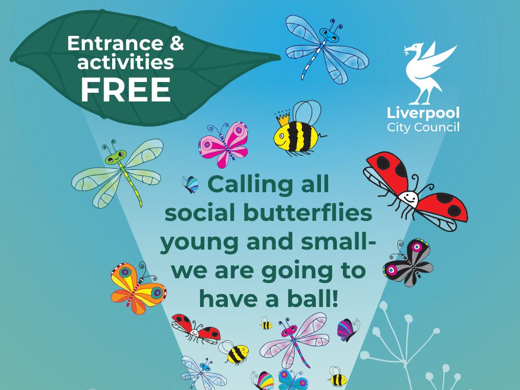Image of butterflies, bees, ladybirds, and the following text - Calling all social butterflies young and small we are going to have a ball!