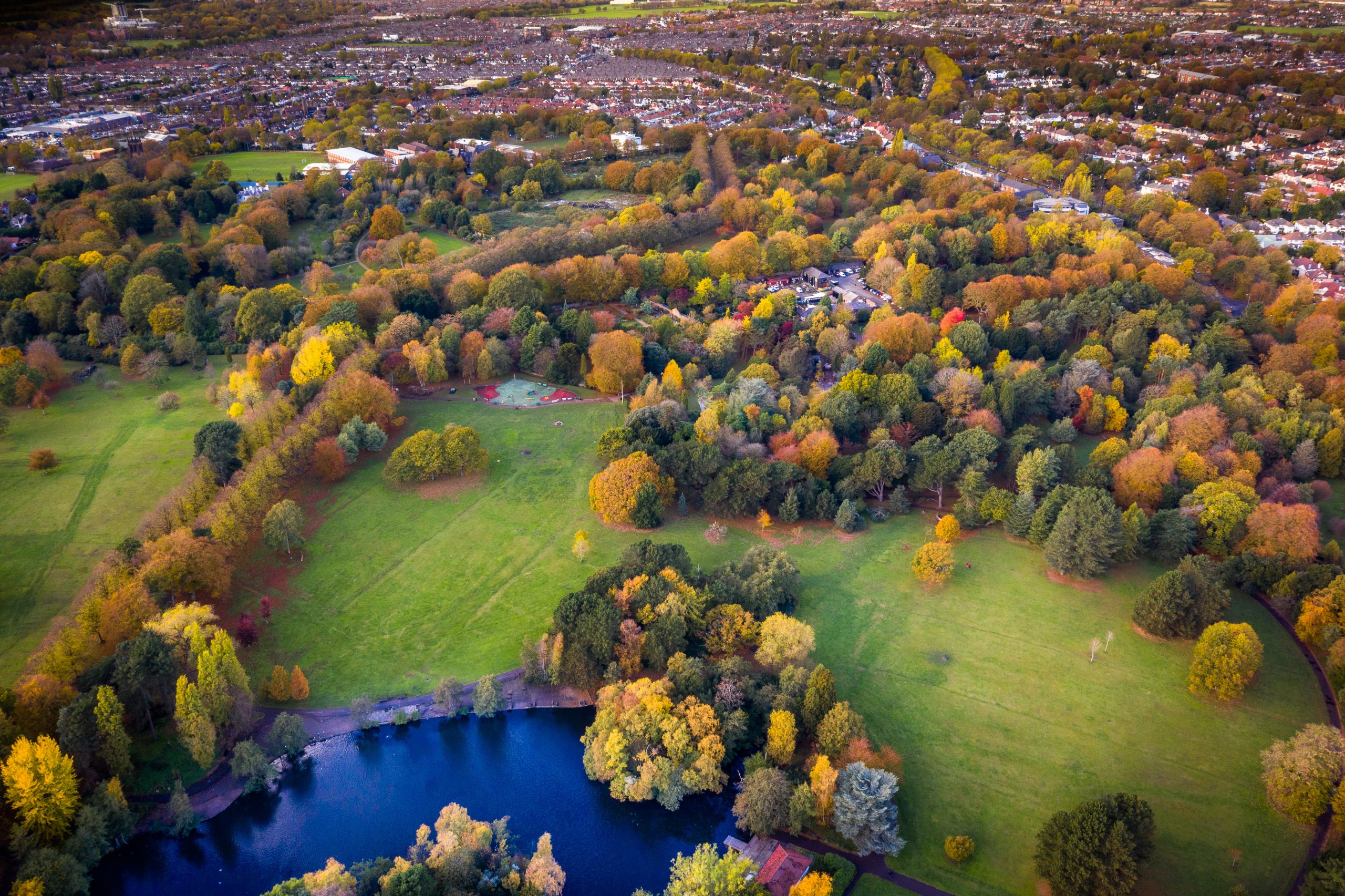 An overhead shot of Calderstones Park, showing the water, trees, and grassy areas.