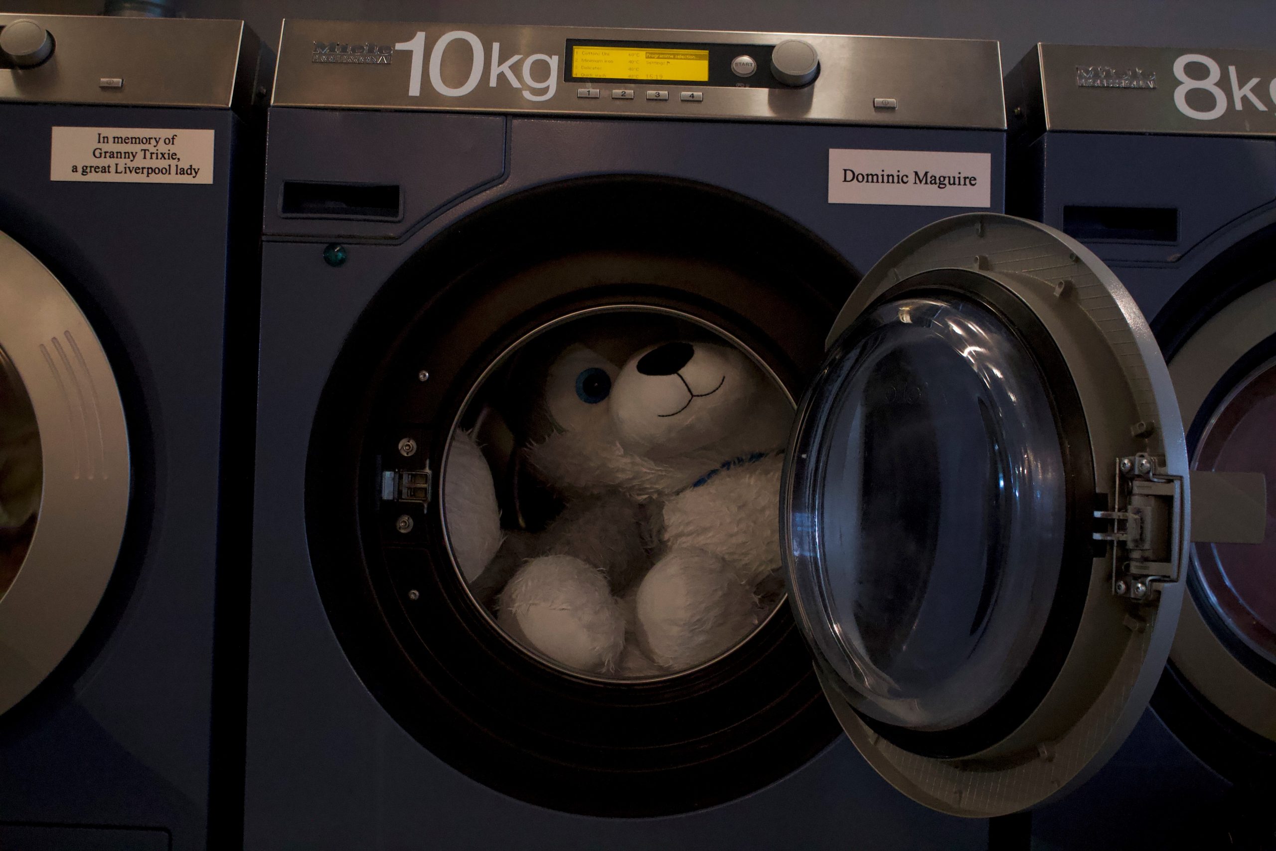 A teddy bear in a washing machine