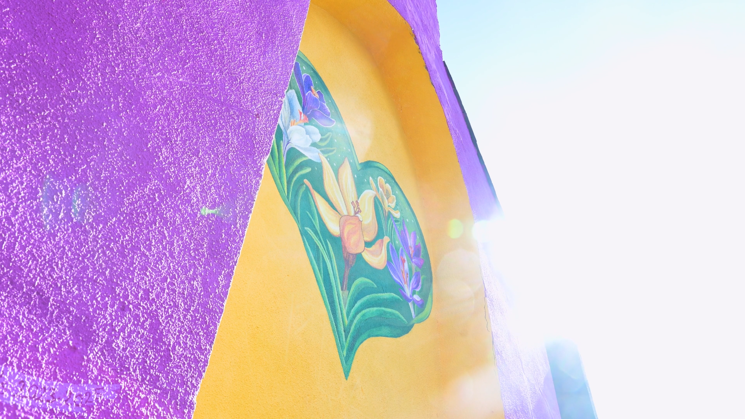 A crocus in a heart, painted on a wall.