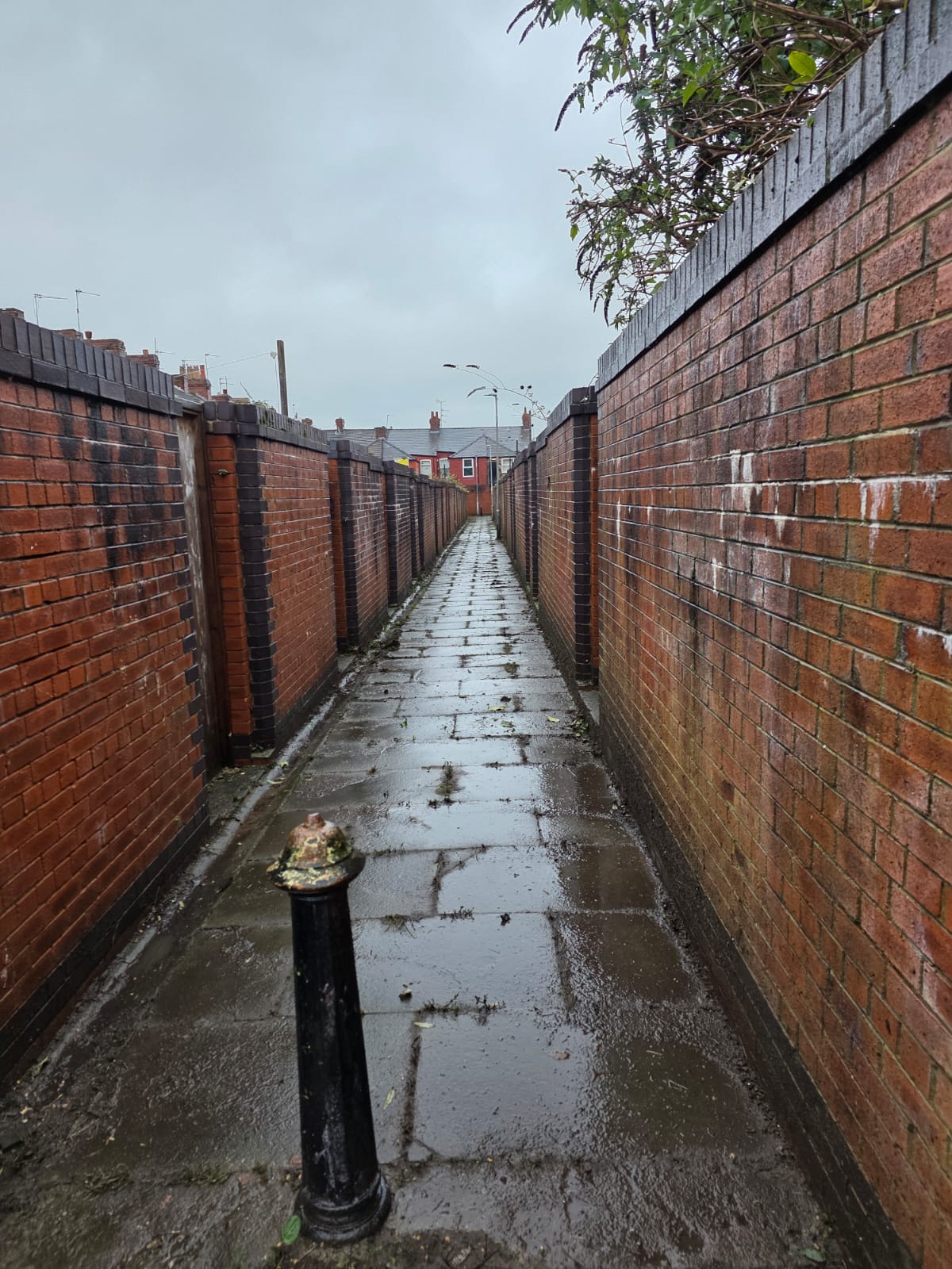 A thin walkway that has been cleared of rubbish.